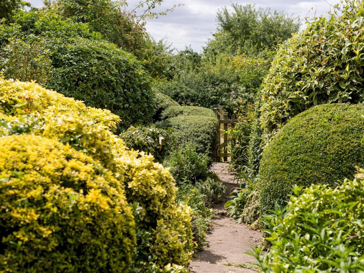 Pass The Keys Cosy Cottage With Views Over The Shropshire Hills Лудлоу Экстерьер фото